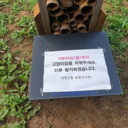 캣맘 경고문 하수와 고수의 차이