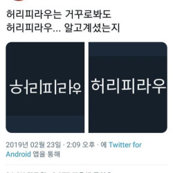 허리피라우의 비밀ㄷㄷ