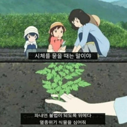 시체 묻을 때 꿀팁