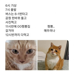 J와 P의 여행계획 차이