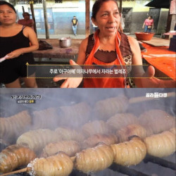 (약혐) 한국에서 맛 볼 수 없는 페루 음식