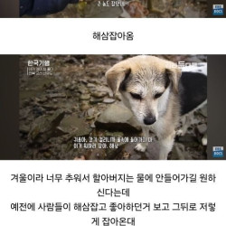 할아버지가 유기견 센터에서 데려온 귀요미