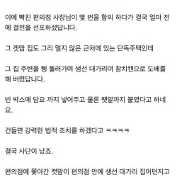 캣맘과 편의점사장님의 싸움.jpg