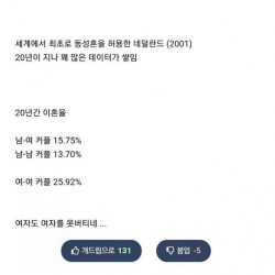 충격적인 네델란드의 20년간 이혼률