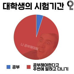 대학생의 시험기간