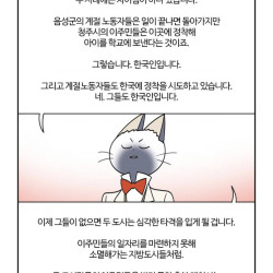 대다수 커뮤니티에서 하고 있는 다문화 관련 착각