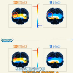 책 읽으면 머리가 좋아지는 이유