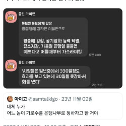 한국은 왜 이렇게 은행나무가 많은거야