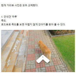 국내 로드뷰에 찍힌 이상한 사진 7선