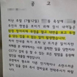 아파트 옥상 된장 항아리 대참사