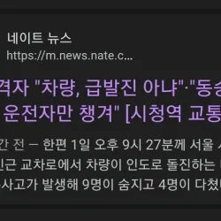 서울시청 사고 동승자는 운전자만 챙겨