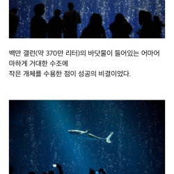 수족관에 백상아리가 없는 이유