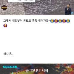 이번 겨울 비상인 이유