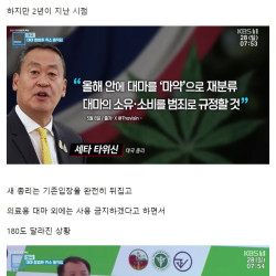 태국 대마 합법화 근황