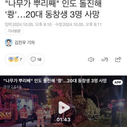 나무가 뿌리째 인도 돌진해 '쾅'…20대 동창생 3명 사망