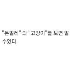 외모가 능력보다 중요한 이유