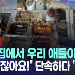 혐주의] 중국집에서 우리 애들이..다 시켜먹잖아요! 단속하다 '버럭'.news