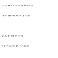 조상들이 어두워지면 밖에 안 나가려고 한 이유