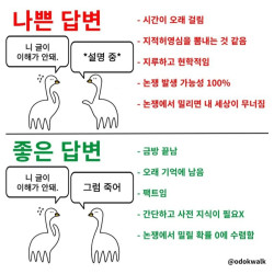 나쁜 답변과 좋은 답변