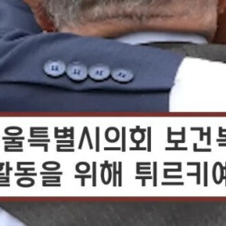 서울시의회 관계자들, 터키 참전용사를 향한 큰절...중국반응ㅋㅋㅋ