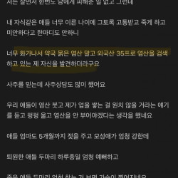 수의사한테 염산 테러를 하고 싶은 캣맘