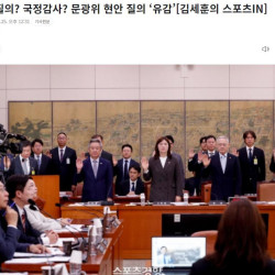 정몽규가 국회에서 망신을 당하는 걸 보고 어느 기업이 스포츠를 지원할지 걱정