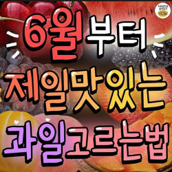 6월부터가장많있는과일고르는법