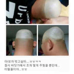 대머리 눈물조개