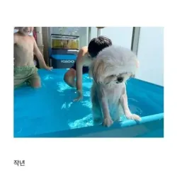 강아지도 감당안되는 아이의체력 ㄷㄷ