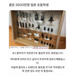 용돈 2,600만 원 일본 초등학생