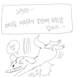 8년 키우던 강아지 안락사 시키는 만화 ㅠㅠ