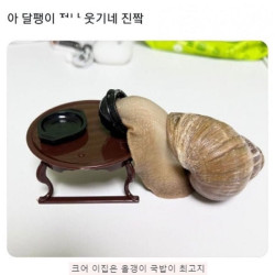 꺼억~ 이집 올갱이국밥 죽이넹