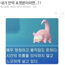 내가 만약 포켓몬이라면??