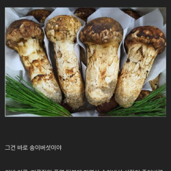 폭염으로 ㅈ돼버린 시장