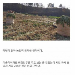 농업직 합격한 디시인의 분노