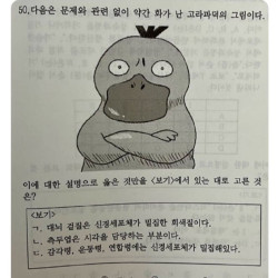 문제와 관련없이 화가 난 고라파덕