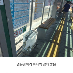 대구 버스정류장 근황