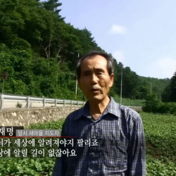 새마을 운동당시 도로를 낸 방법