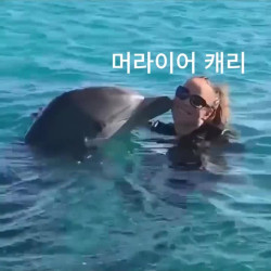 머라이어 캐리랑 수영하던 돌고래가 깜짝 놀란이유