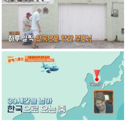 브라질에서 30시간 걸려서 한국 온 엄마의 첫 행동