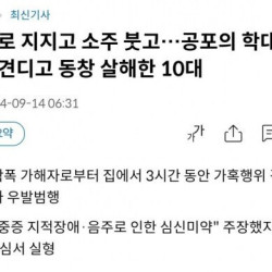 학폭 못견디고 살해한 10대 1심 실형