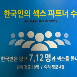 한국인 섹스 통계