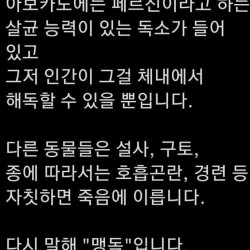 독성물질이 들어있는 열매를 먹고 살아남은 생명체 ㄷㄷ