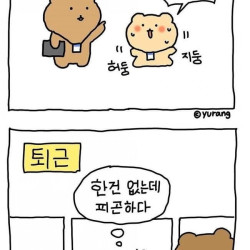 신입사원 망곰