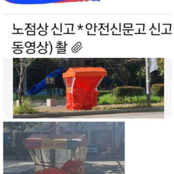 실시간 신고하고 다니는 디씨인