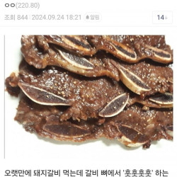 도황 진짜 존맛이네