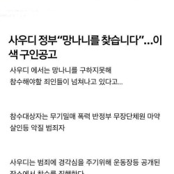 사우디에서 월급 660만원에 노는 직업 모집합니다