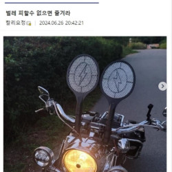 피할수 없으면 즐겨라