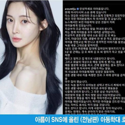 [디스패치] '티아라' 아름, 아동학대 송치…얼굴 대소변? 자작극 가능성