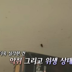 서울대 법대 나온 할어버지 삶